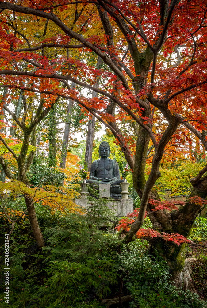 A statue of Buddha in a traditional Japanese temple with autumn colours in Kyoto