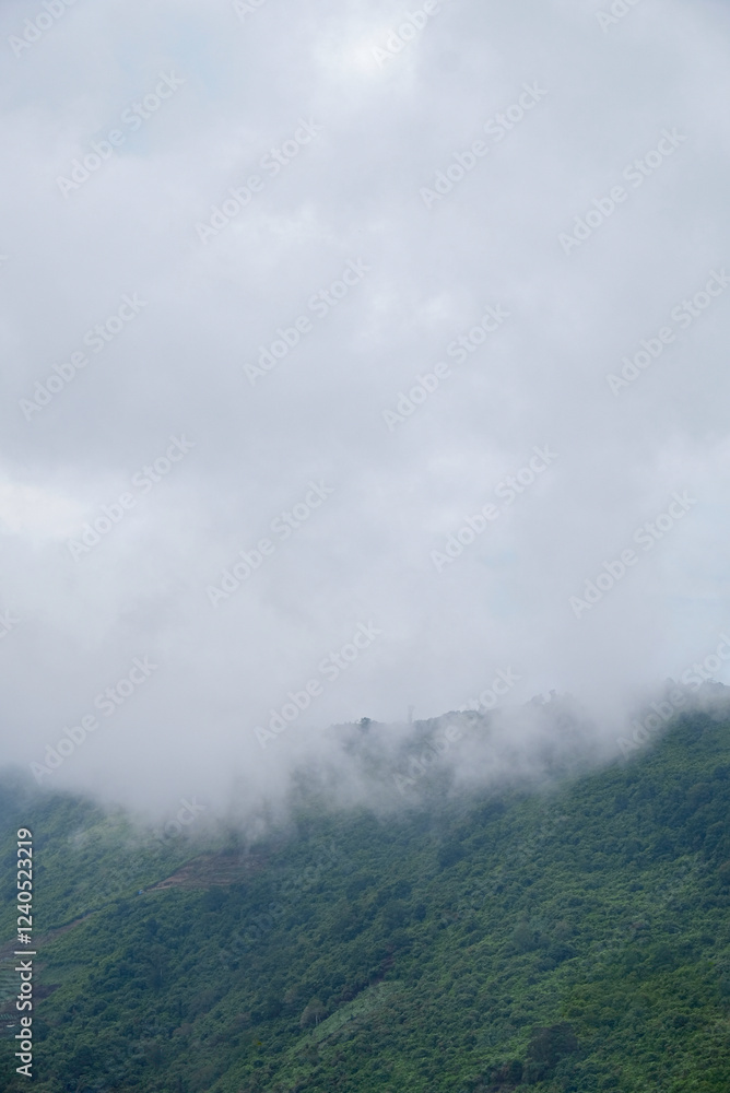 Foggy hill near Dibawah Lake, Alahan Panjang, Indonesia. Foggy hill near Dibawah Lake, Alahan Panjang, Indonesia.