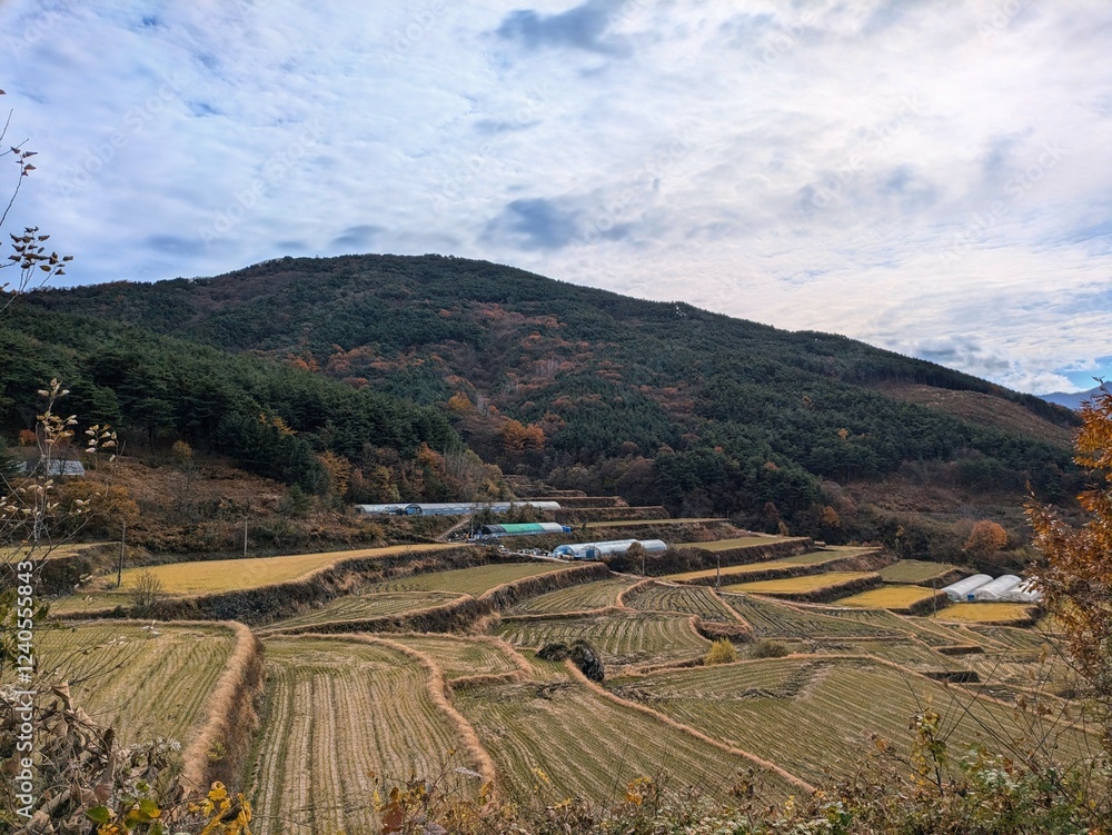 Naklejka premium Jirisan Park, Korea