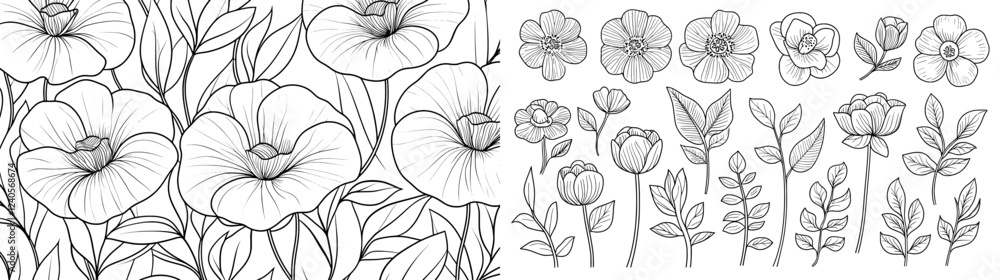 Fototapeta premium A poppy flower, Papáver, with stems and leaves, depicted in a large design set. This hand-drawn, modern illustration features a monochrome black and white ink sketch, showcasing line art isolated on