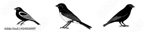 A contemporary artwork featuring a black silhouette of a finch bird.