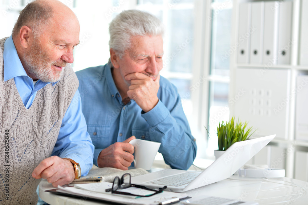 Portrait of two elderly men working on laptop in office Portrait of two elderly men working on laptop in office