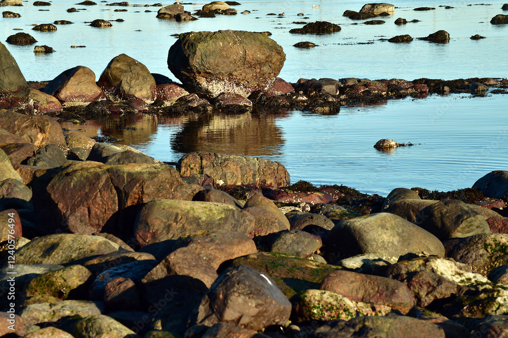 Fototapeta premium Rugged Rocks