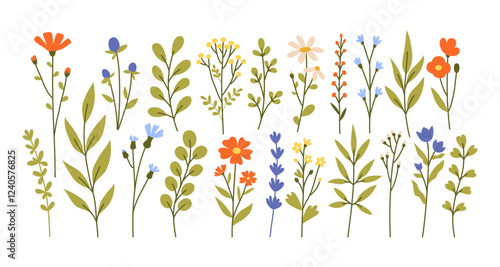 Set of wild flowers. Hand drawn vector illustration in minimalist style.