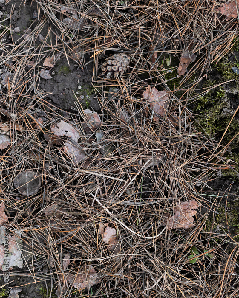 Soil background, clay texture. Rural industry Spring field. Close-up from above. Dry ground, hard surface Soil background, clay texture. Rural industry Spring field. Close-up from above. Dry ground, hard surface