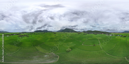 Aerial view of lush green rice paddies and expansive farmland under a serene sky with clouds, Chau Lang, Vietnam. photo