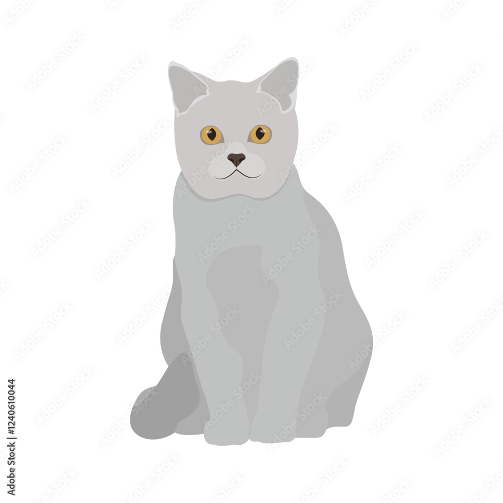 Fototapeta premium Vector illustration of grey cat in cartoon flat style. Cute pet animal in different pose. Animal icon on white isolated background