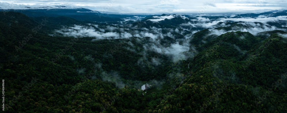 Fototapeta premium aerial view landscape rain forest and mist cover mountain valley, drone photography panorama.