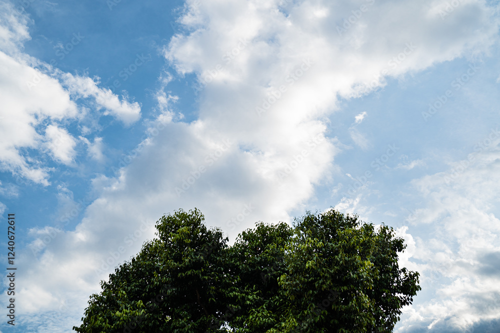 Obraz premium blue sky with clouds