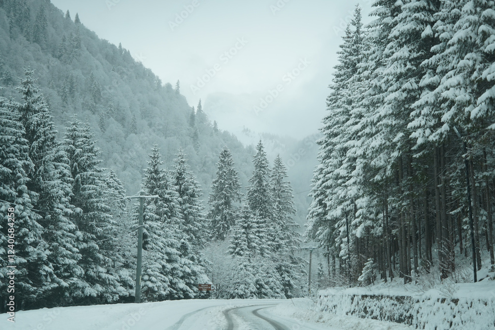 Obraz premium Snow-covered road. Winter landscape.
