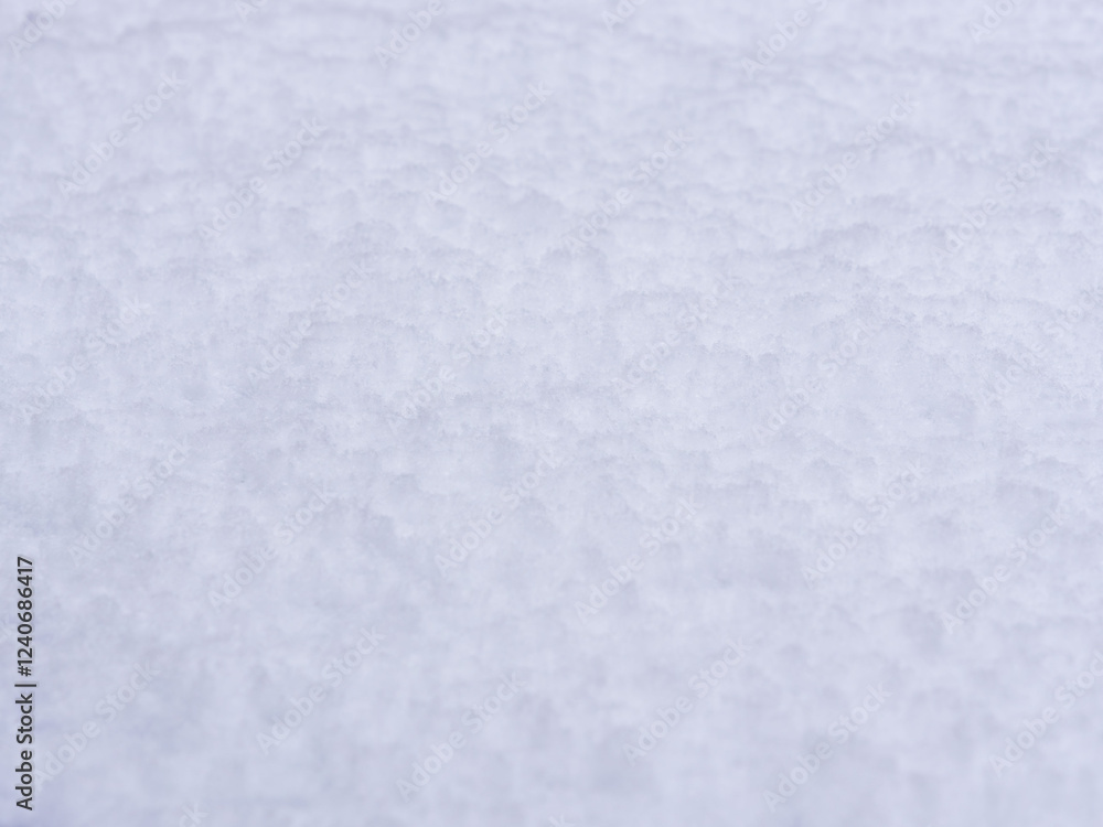 Fototapeta premium 降り積もったばかりの新雪10