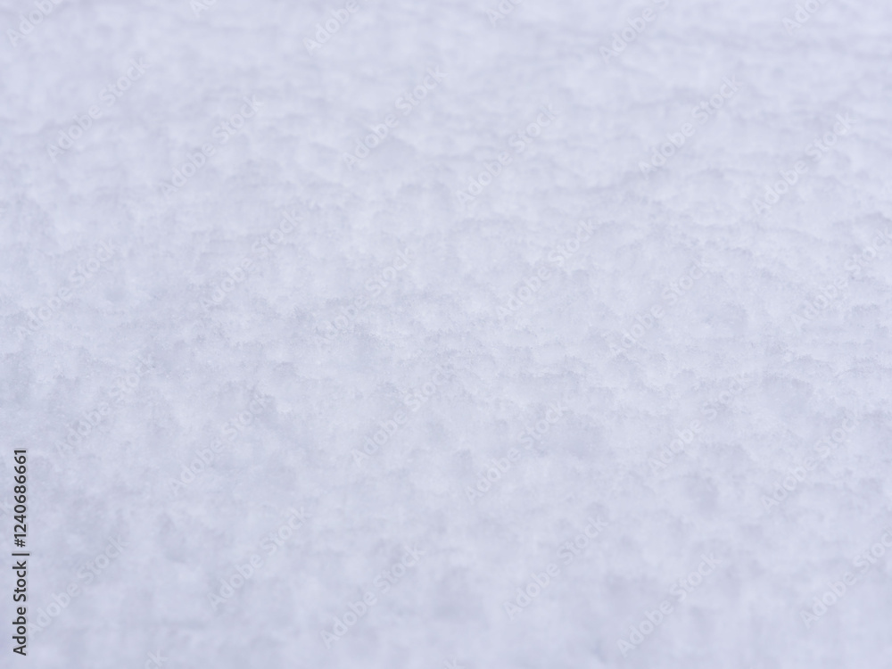 Obraz premium 降り積もったばかりの新雪05