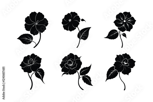 Begonia (Begonia spp.) silhouette vector illustration