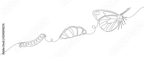 Continuous line drawing of butterfly life cycle. Transformation of caterpillar from cocoon into butterfly. Minimalist black linear sketch isolated on white background.