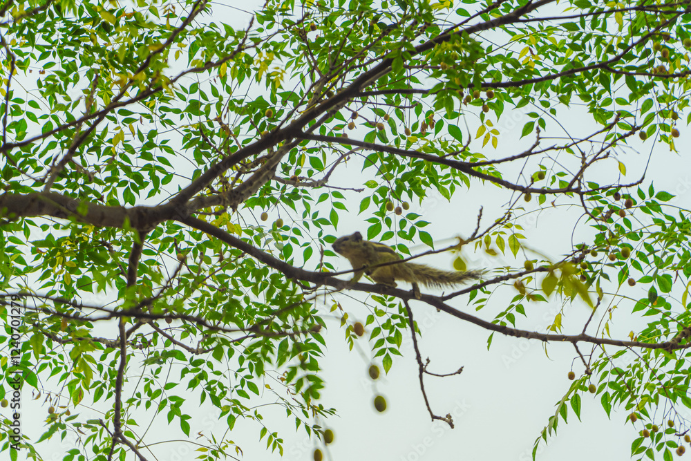 Lush Greenery Reaching Towards the Sky Lush Greenery Reaching Towards the Sky