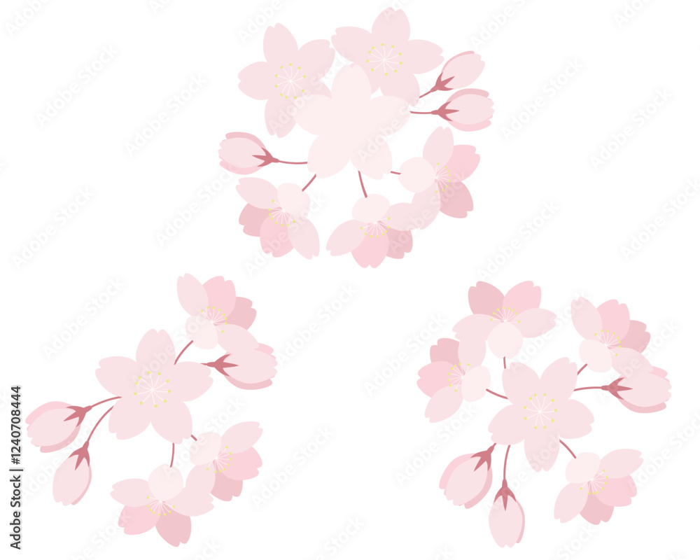 桜の花のイラストセット さくら ソメイヨシノ 桜の花のイラストセット さくら ソメイヨシノ