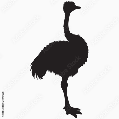 ostrich isolated on white silhouette