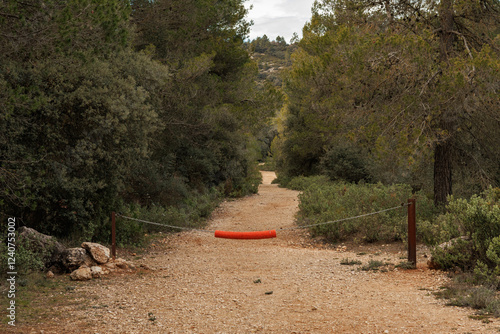 Camino de tierra con acceso limitado a vehículos en el bosque, Bocairent, España photo