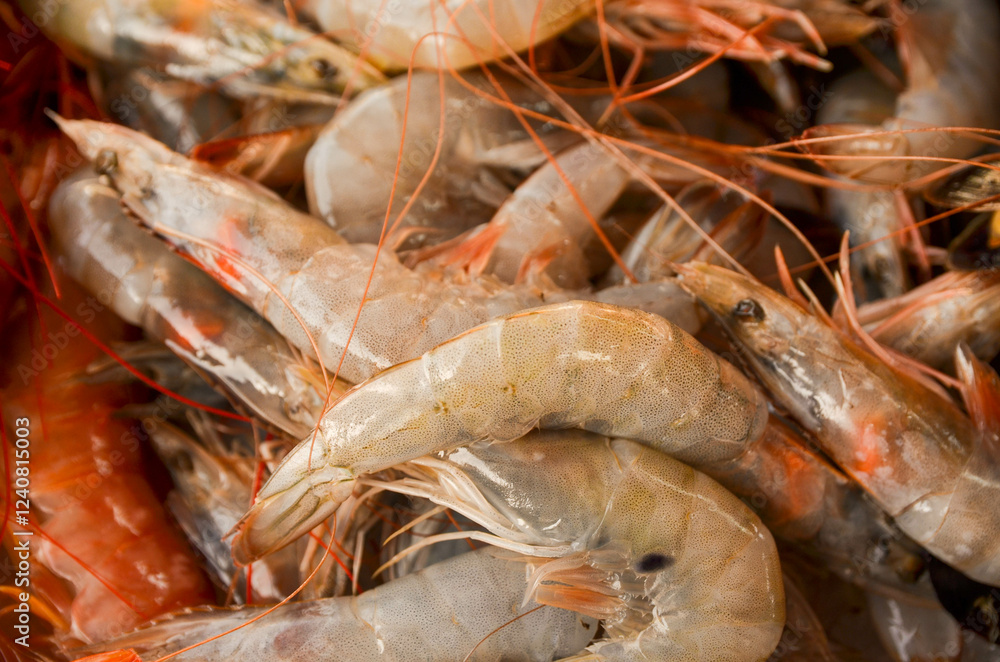 Fresh Raw Shrimp on Ice at Seafood Market background copy space Fresh Raw Shrimp on Ice at Seafood Market background copy space