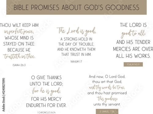 Bible promises about God’s goodness set of bible verses art, biblical quotes, scripture print vector illustration