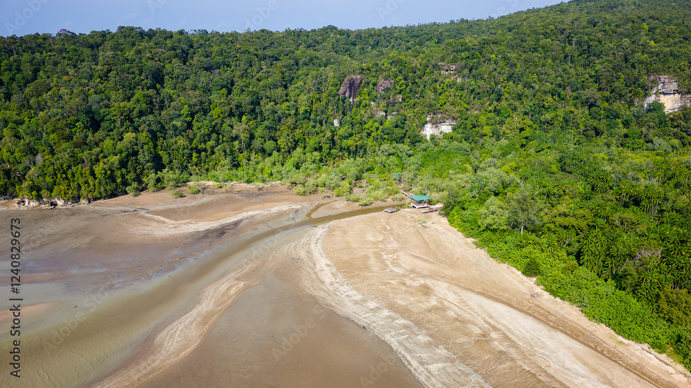 Mangrove forest and tropical jungle at the Bako national park, Borneo
