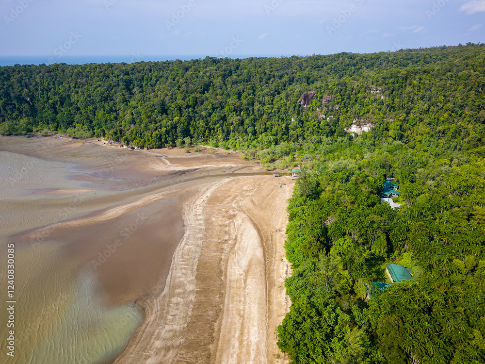 Aerial view of a wide sandy beach and dense tropical jungle at Bako, Borneo