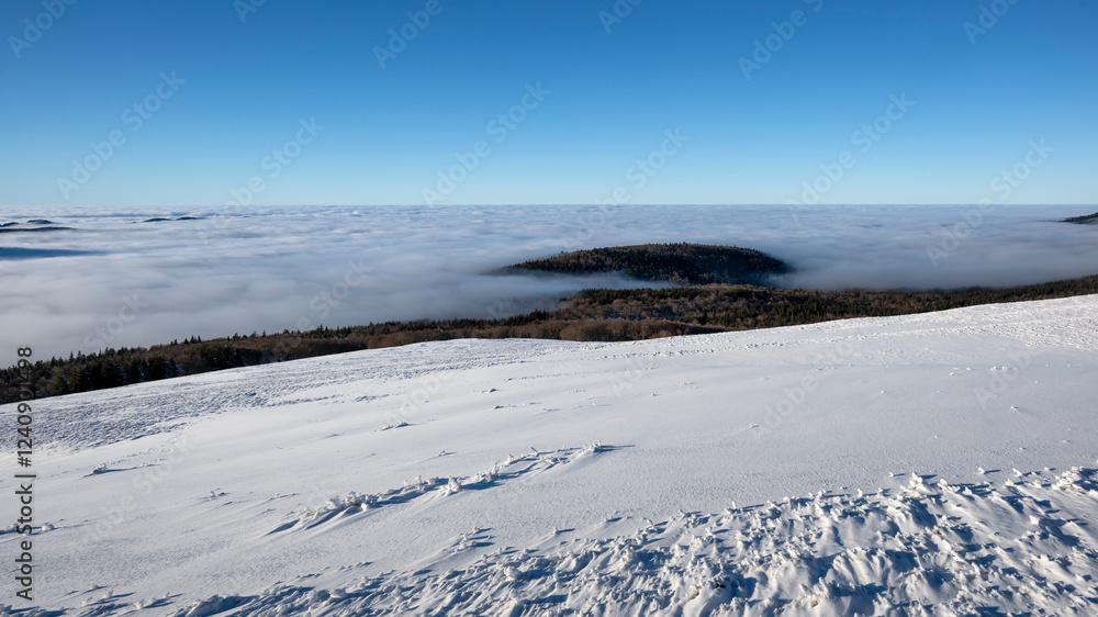 Obraz premium Paysage enneigé de montagne en hiver dans le massif du Vercors dans le département de la Drôme en France autour du plateau d'Ambel