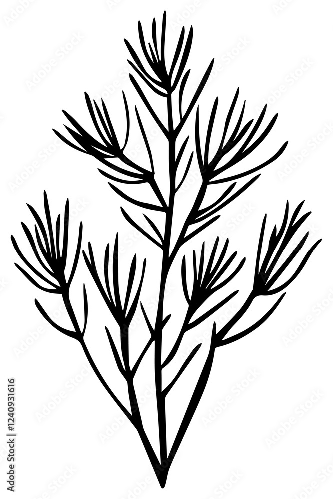 PNG Minimalist botanical line art, transparent background PNG Minimalist botanical line art, transparent background