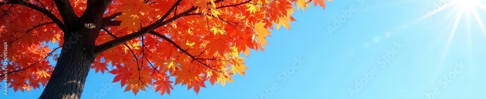 Autumn tree against a clear blue sky with sunlight, leaves, nature Autumn tree against a clear blue sky with sunlight, leaves, nature