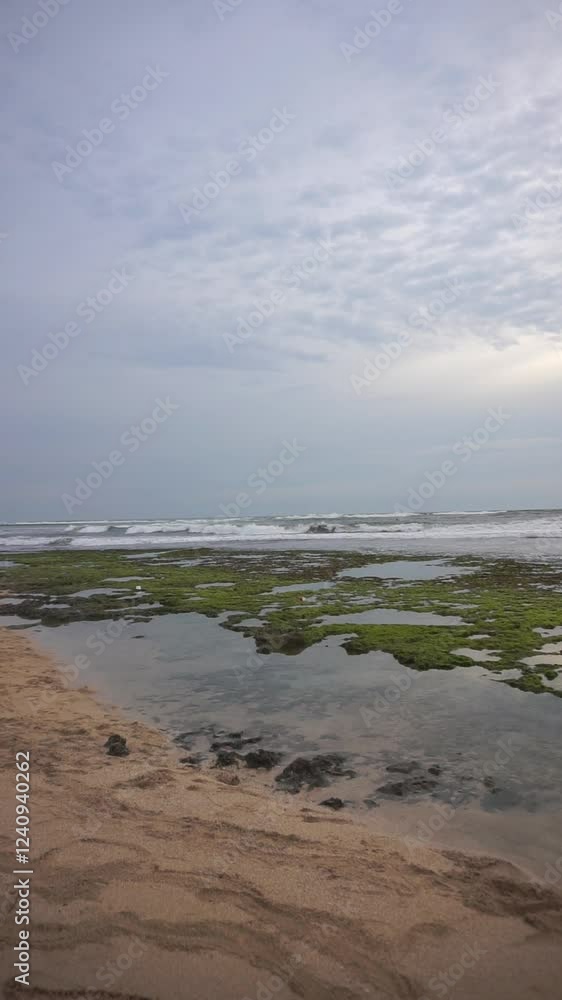 beach in the morning beach in the morning