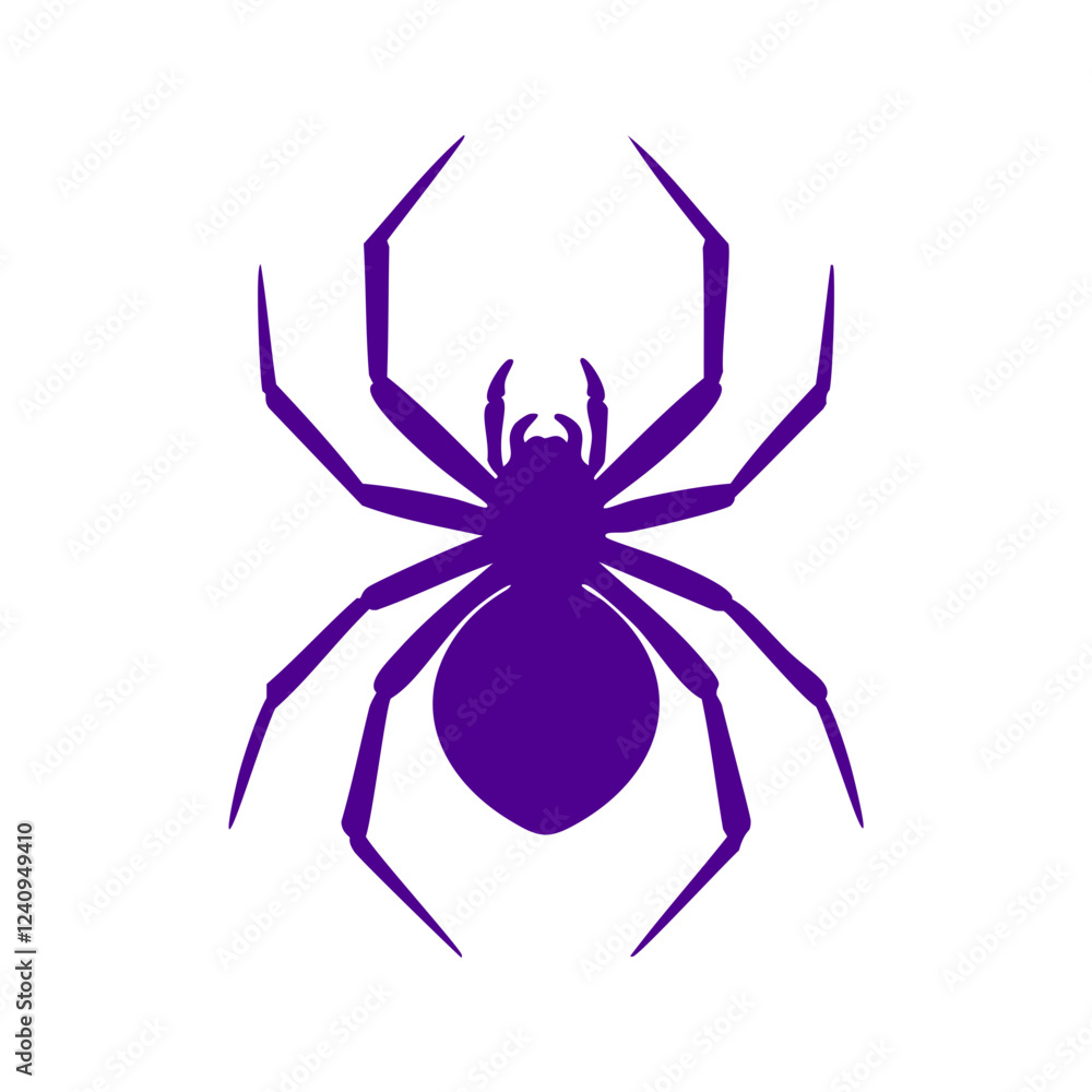 spider isolated on white background spider isolated on white background