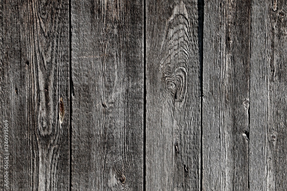 Naklejka premium old wood texture