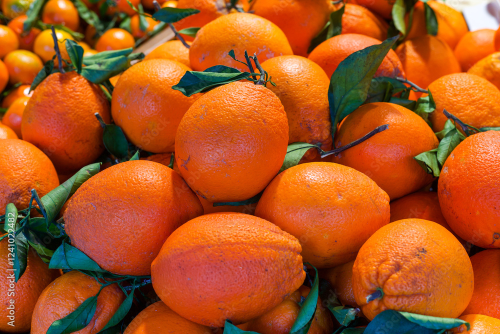 A closeup of oranges and mandarines on a market stall A closeup of oranges and mandarines on a market stall