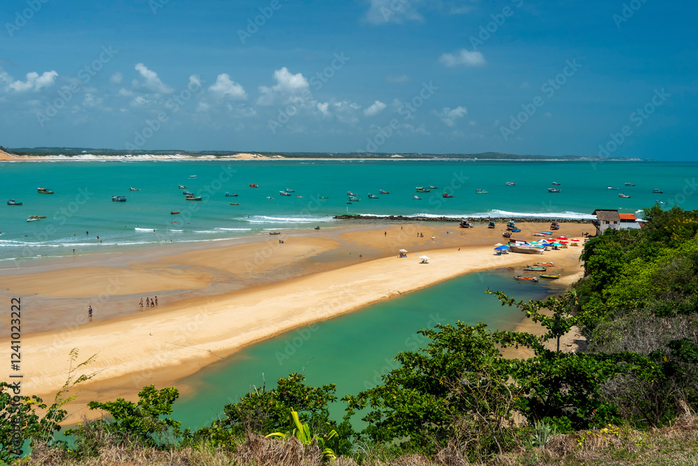 Obraz premium Scenic View of Baía Formosa Beach, Rio Grande do Norte, Brazil on January 14, 2025.