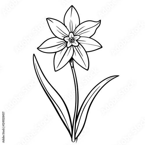 Scilla flower illustration in black and white on a simple background