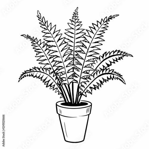 Boston fern illustration in black and white on a simple background