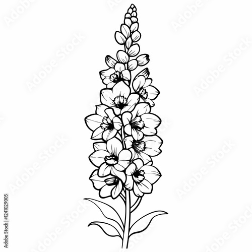 Delphinium flower illustration in black and white on a simple background