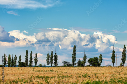 Obraz na płótnie Expansive fields under a vibrant sky with cotton-like clouds loomed above silently. Copy space. w salonie