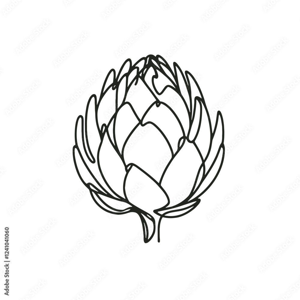 Fototapeta premium Artichoke, vector, black line drawing, minimalistic, single line, simple line, isolated, transparent background