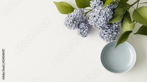 Elegant Fresh lilac branches in full bloom isolated on a crisp white background perfect for a vibrant May floral aesthetic  photo