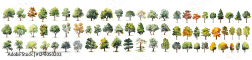Watercolor trees, summer spring tree big collection, hand-drawn for landscape and architecture, vector tree side illustration, isolated on white background, environment design, garden planning.