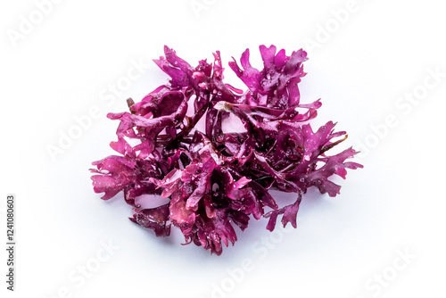 Quadro em tela Irish sea moss, Chondrus crispus, edible seaweed, purple, isolated on a white ba