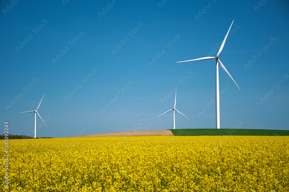Raps und Windräder, Windpark in Frankreich, Panorama Raps und Windräder, Windpark in Frankreich, Panorama