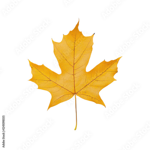 Wallpaper Mural A vibrant yellow maple leaf showcasing autumn's beauty and seasonal change. Torontodigital.ca