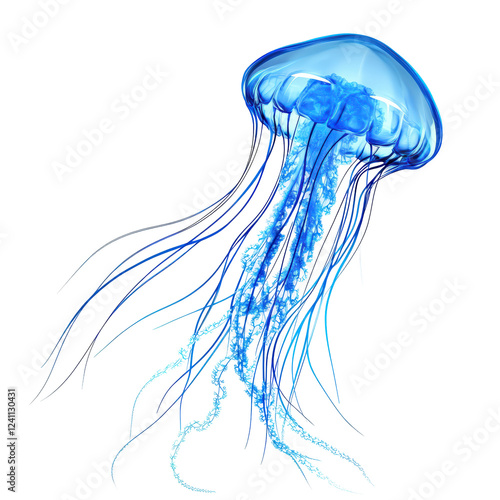 Isolated Flowing Blue Jellyfish with Long Tentacles