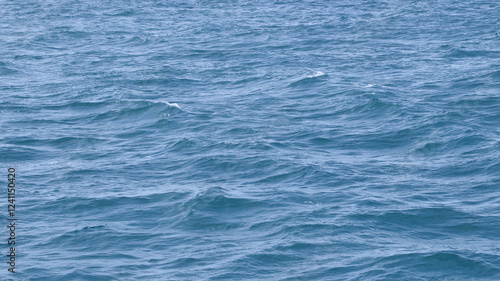 The ocean is calm and the waves are small. The water is a beautiful shade of blue. The sky is clear and the sun is shining