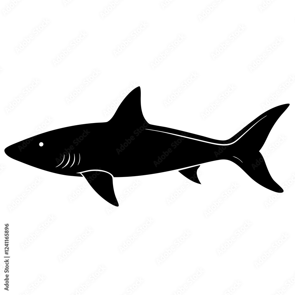 slim head shark on white background slim head shark on white background