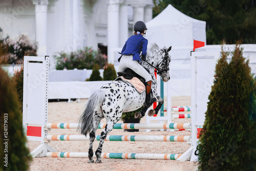 Spotted appaloosa pony jump to clear the obstacle. Pony Jumping, Equestrian Sports. Black and white.