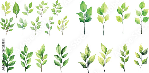 Set of tropical green leaves isolated on white background. A set of vector watercolor leaves and branches. Lovely design elements to make your own patterns, 