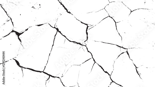 Lots lines of crack ground for abstract background. vector crack grunge black with white background for your text